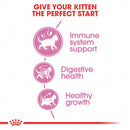 Royal Canin Feline Health Nutrition Kitten Dry Cat Food, 3 Lbs. Bag