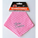 Harley-Davidson Pink Pet Dog Bandanna, 17" for Petite Dogs