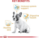 Royal Canin French Bulldog Puppy Dry Dog Food 3 Lbs.