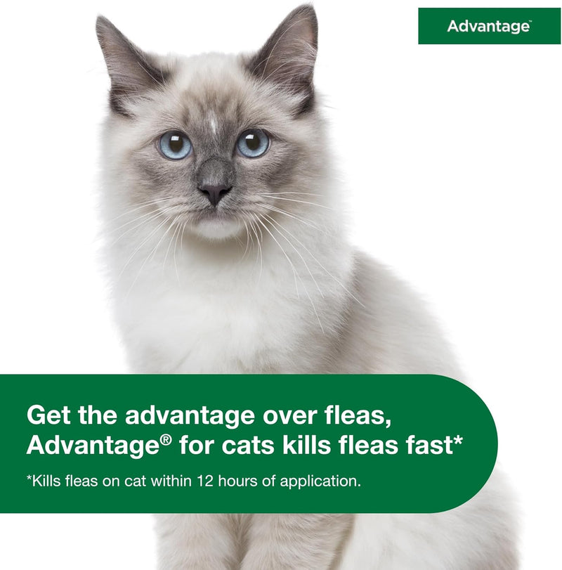 Advantage Topical Cat Flea Treatment and Prevention for Small Cats 2-9 lbs.