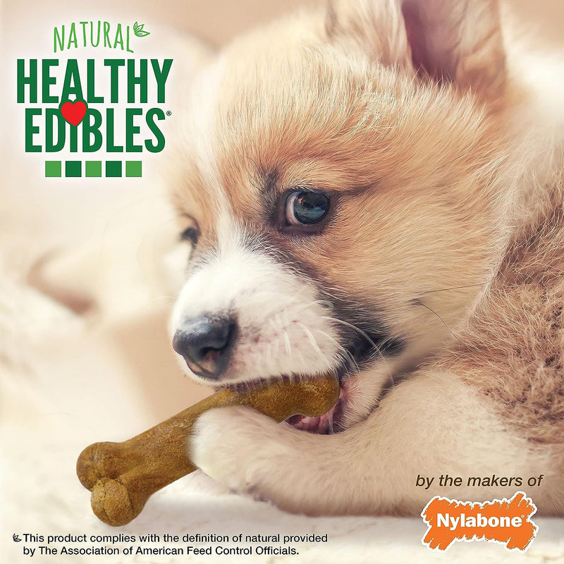 Nylabone Healthy Edibles Puppy Natural Chew Treats Lamb & Apple for XS/Petite 8CT