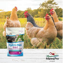 MannaPro Hydro-Hen Water Supplement 3-in-1 Probiotics 8 oz. 2-Pack