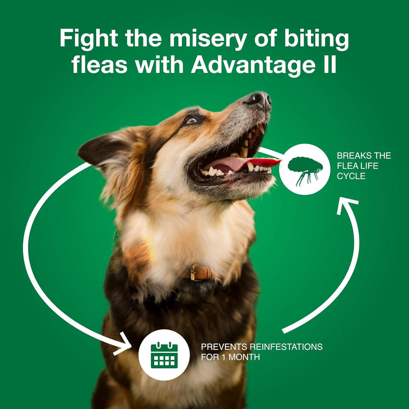 Advantage II Flea Prevention and Treatment 21-55 lbs. 3-Pack