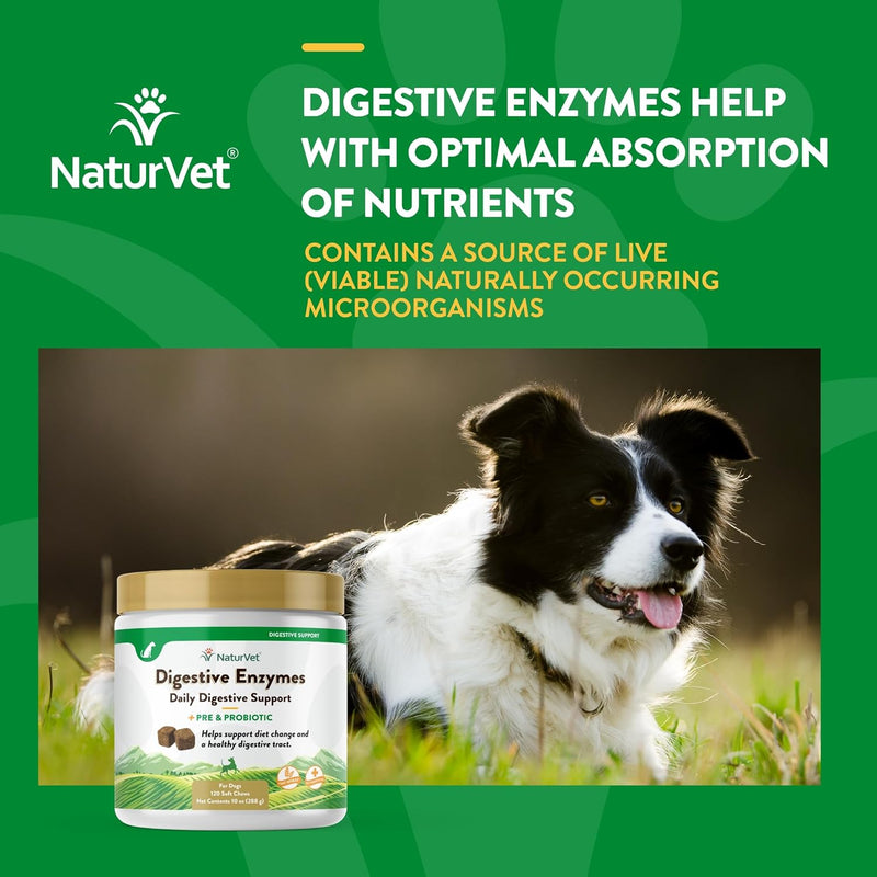 NaturVet Digestive Enzymes Plus Probiotic for Dogs 120ct Soft Chew