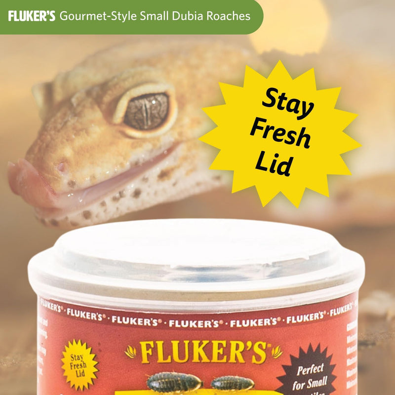 Fluker's Gourmet Canned Food for Reptiles, Small Dubia Roaches, 1.2 oz