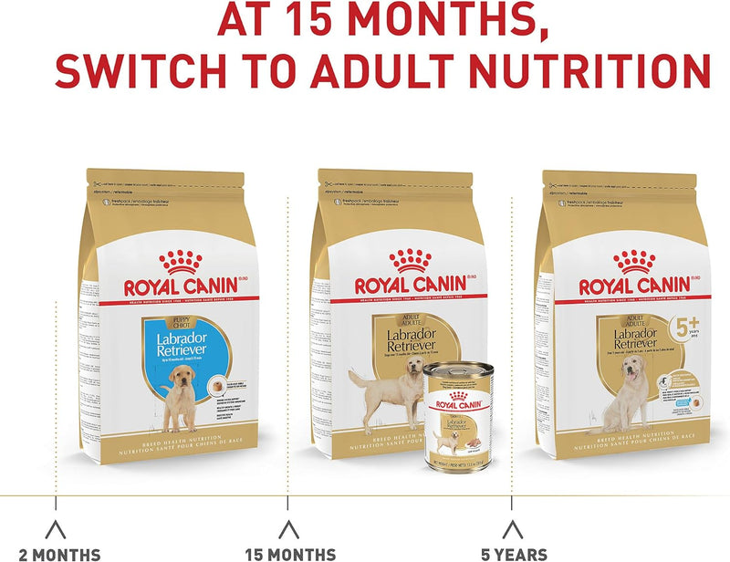 Royal Canin Labrador Retriever Adult Dry Dog Food, 30 Lb Bag