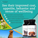 AminAvast Healthy Kidney Function for Cats and Dogs 60 Capsules 1000mg AminAvast