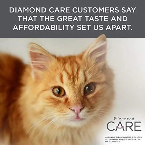 Diamond Care Urinary Support Formula Adult Dry Cat Food 15 lbs. Diamond CARE