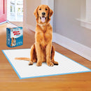 Four Paws Wee-Wee Pads 14 Pack Extra Large White 28" x 34" x 0.1 Four Paws