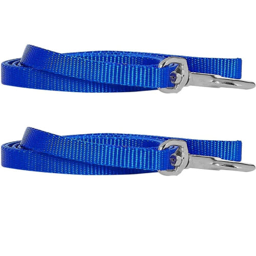 Coastal Pet Nylon Dog Leash with Bolt Snap, 3/8" x 4-Feet, Blue 2-Pack