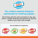 Nylabone Dental Dino Puppy Chew Toy, Regular Nylabone