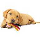 Nylabone Puppy Chew Teething Keys Bacon Flavor, Wolf Nylabone