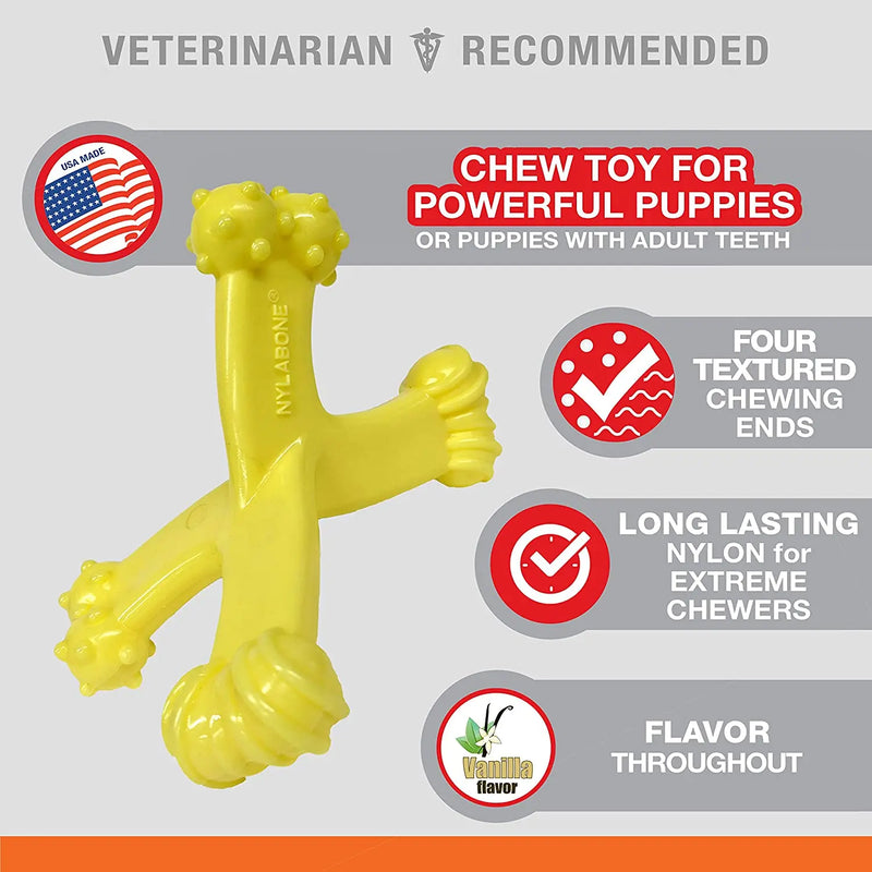 Nylabone Puppy Power Axis Bone Nylon Chew Toy Vanilla Flavor, Reg Nylabone