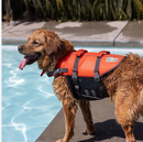 Outward Hound Dog Life Jacket Ripstop Life Jacket Fun  XL