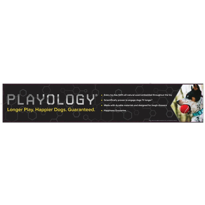 Playology Dual Layer Bone Dog Toy Peanut Butter Scent, Medium PLAYOLOGY