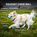 Playology Squeaky Chew Ball Dog Toy Natural Beef Scent, Med/Large PLAYOLOGY