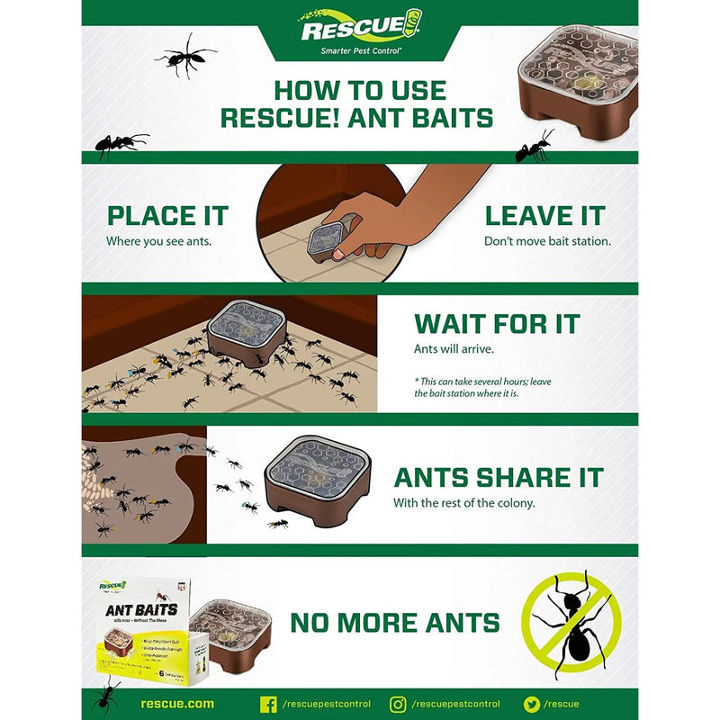 RESCUE! Ant Bait Indoor 4 Bait Stations Rescue!