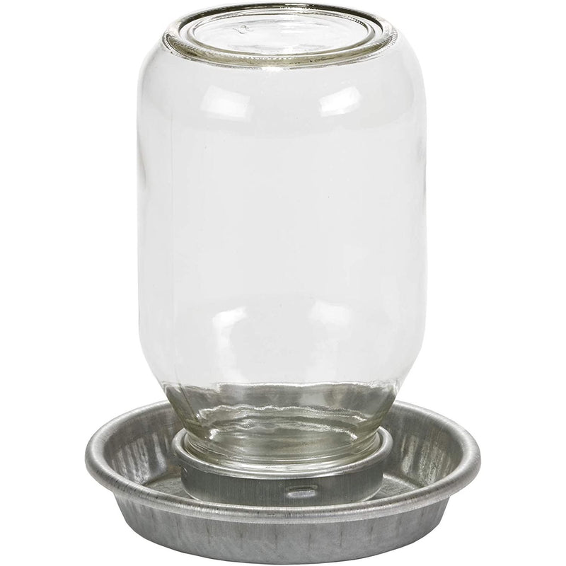 Little Giant Glass Mason Jar Baby Chick Waterer, 1 Quart Little Giant