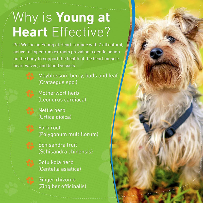 Pet Wellbeing Young at Heart Health Supplement for Dogs 2 oz. Pet Wellbeing