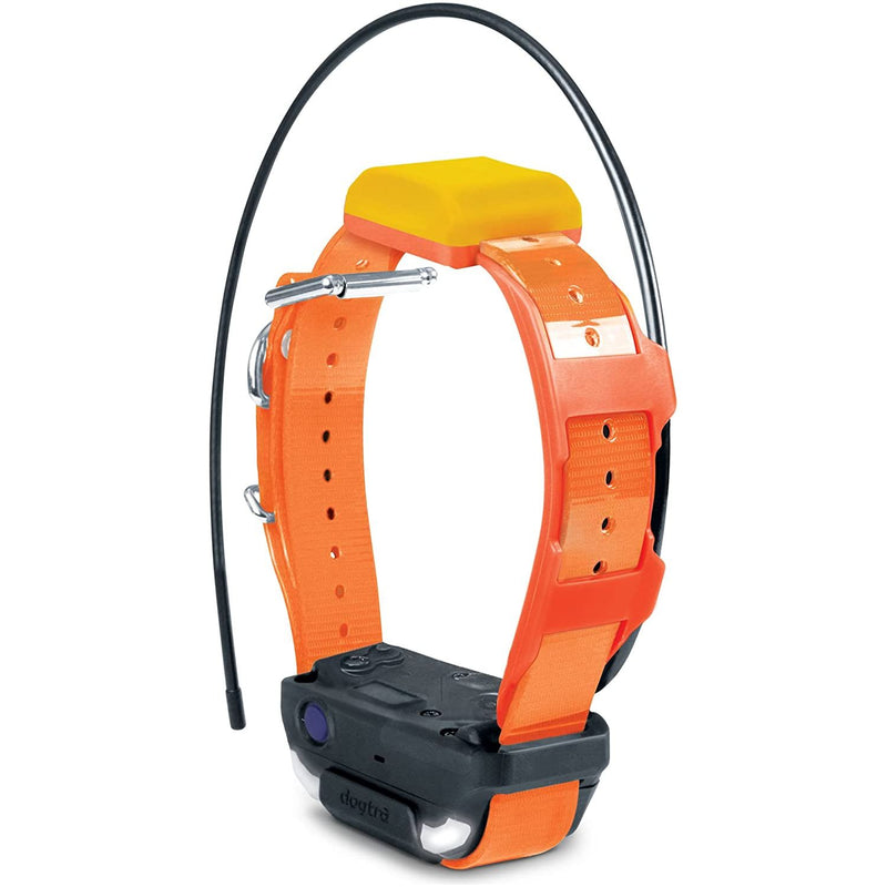 Dogtra Pathfinder2 TRX Additional Receiver Dog Collar, Orange Dogtra