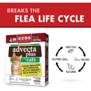 Advecta Plus Flea Protection Squeeze-On for Cats Over 9lbs 4CT Advecta