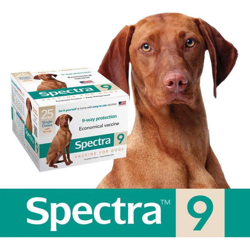 Canine Spectra 9 Way Annual Booster Vaccine for Dogs with Free Syringe Durvet