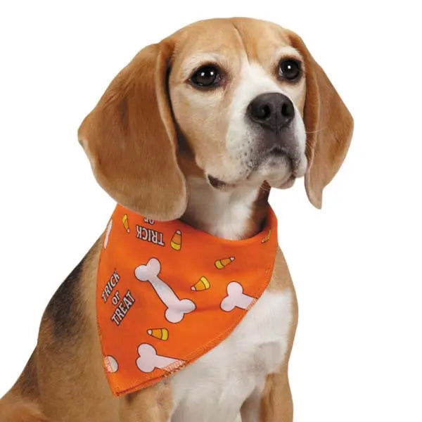 Halloween Aria Bright Trick Or Treat Dog Bandanas 19" Aria