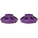 Little Giant Plastic Baby Chick Feeder Bases 1Qt Purple 2-Pack Little Giant