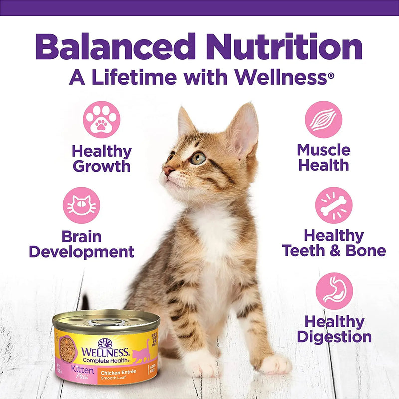 Wellness Complete Health Pâté Kitten Chicken Entrée Canned Wet Cat Food, Single Can Wellness Natural Pet Food