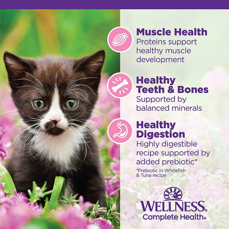 Wellness Complete Health Pâté Kitten Chicken Entrée Canned Wet Cat Food, Single Can Wellness Natural Pet Food