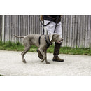 Halti No Pull Harness for Large Dogs Halti