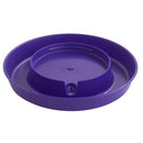 Little Giant Plastic Screw-On Waterer Base 1 Gallon, Purple Little Giant